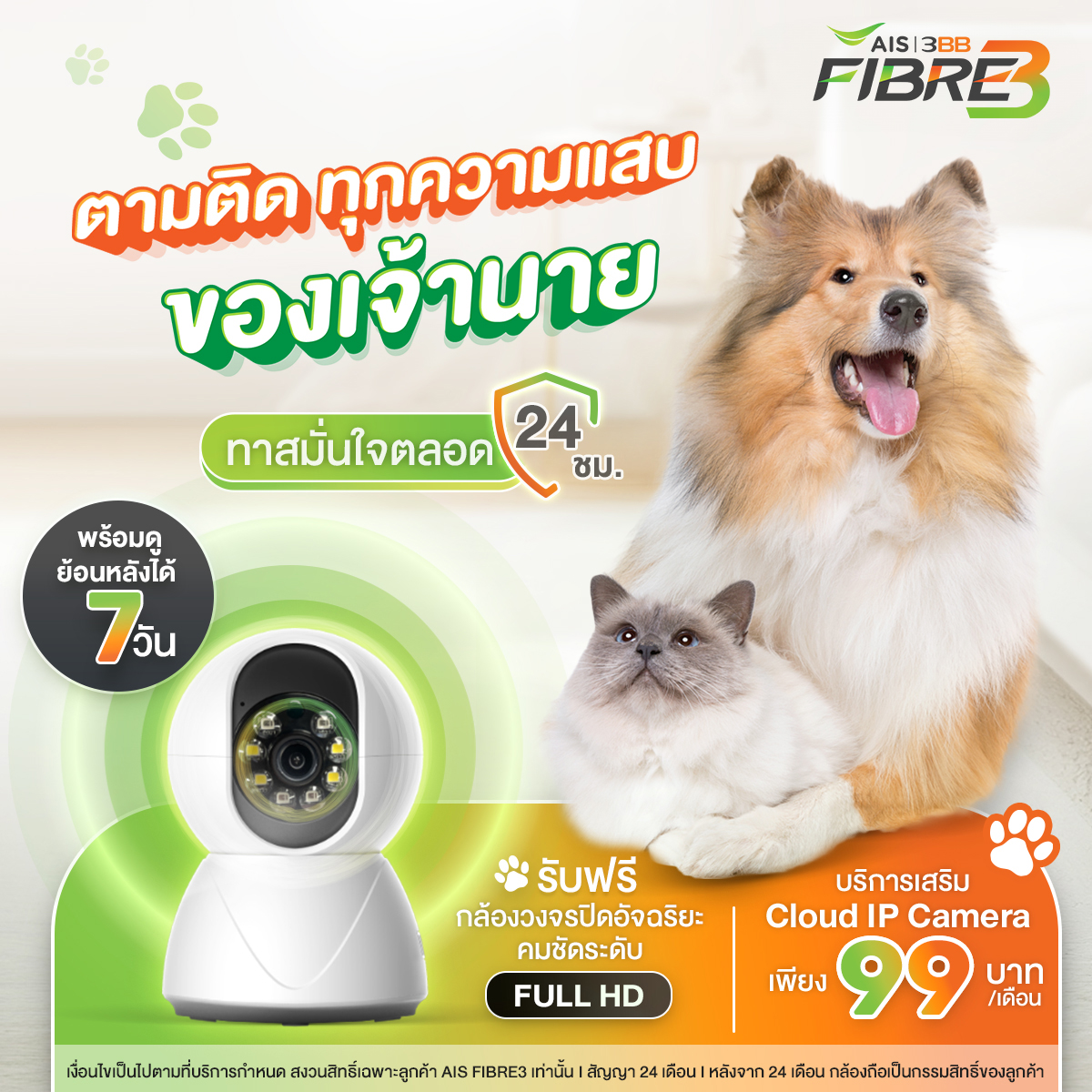Cloud ip camera Pet Lover Time1730616505977